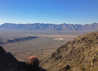 photo thumbnail #2