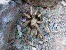 photo thumbnail #2