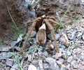 photo thumbnail #3