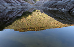 photo thumbnail #10