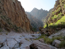 photo thumbnail #14