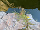 photo thumbnail #15