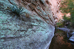 photo thumbnail #9