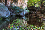 photo thumbnail #11