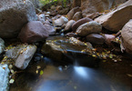 photo thumbnail #10