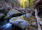 photo thumbnail #12
