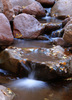 photo thumbnail #15