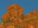 photo thumbnail #5