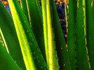 photo thumbnail #9
