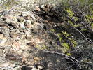photo thumbnail #7