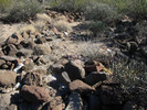 photo thumbnail #8