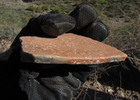 photo thumbnail #13