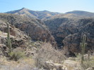 photo thumbnail #4