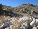 photo thumbnail #5