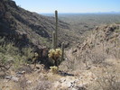 photo thumbnail #7