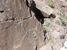 photo thumbnail #2