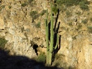 photo thumbnail #5