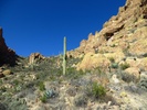 photo thumbnail #6