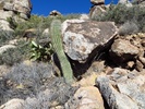 photo thumbnail #8