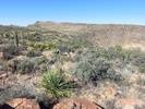 photo thumbnail #12