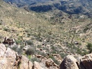 photo thumbnail #13