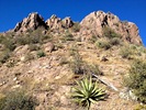 photo thumbnail #3