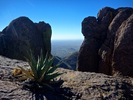 photo thumbnail #7
