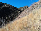 Featured Full Photo