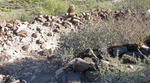 photo thumbnail #11