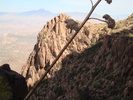 photo thumbnail #2