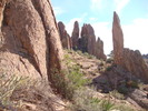 photo thumbnail #6