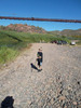 photo thumbnail #3