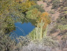 photo thumbnail #7