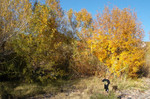 photo thumbnail #13