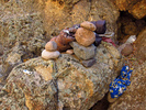 photo thumbnail #8