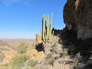 photo thumbnail #4
