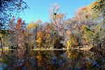 photo thumbnail #2