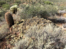 photo thumbnail #1