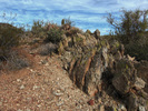 photo thumbnail #8
