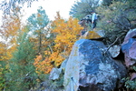 photo thumbnail #2