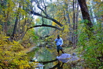 photo thumbnail #7