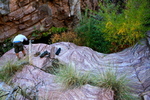 photo thumbnail #10