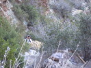 photo thumbnail #7