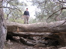 photo thumbnail #1