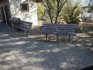 photo thumbnail #3