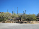 photo thumbnail #4