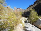 photo thumbnail #9