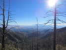 photo thumbnail #3