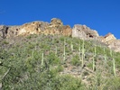 photo thumbnail #13