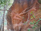 photo thumbnail #12